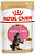 Royal Canin 85г пауч Maine Coon Kitten Влажный корм для котят породы Мейн Кун до 15 месяцев