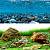 Аквариумный фон №11 Rive Rock/Sea of Green 60см/15м