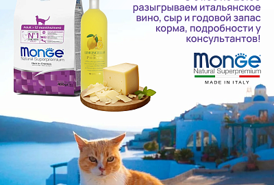 Итальянские каникулы в ЗооГраде!