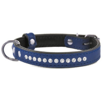 Ошейник кожаный «Брайт-Страз» 2 слоя, с прозрачными стразами 30-38см*16мм синий